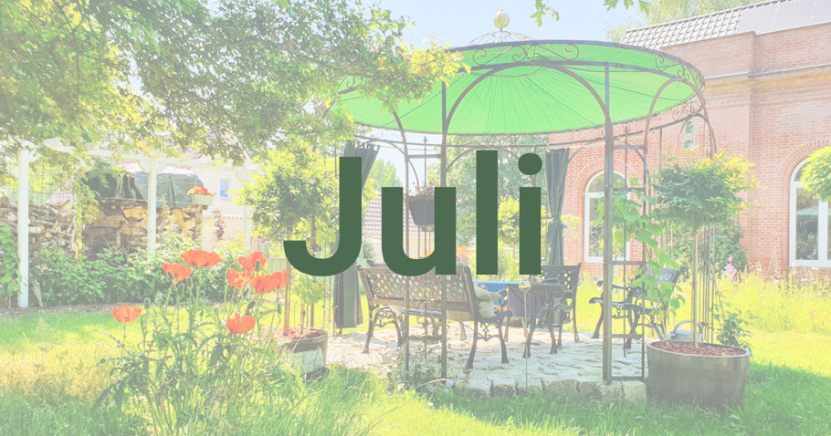 Conseils de jardinage pour juillet