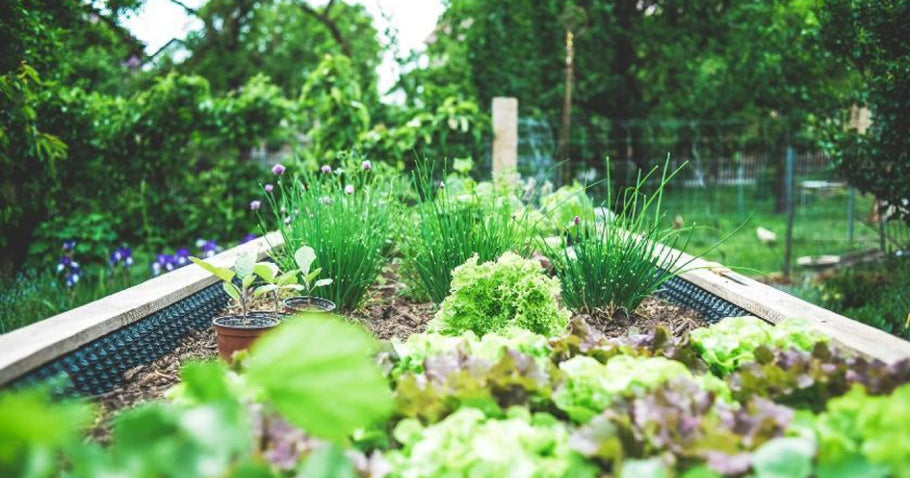 Jardinage urbain : des oasis de verdure en ville