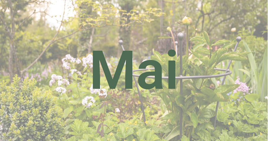 Conseils de jardinage pour mai